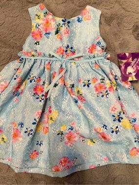 Blueberi boulevard Girls' Light Blue Floral Lace Dress with Ribbon Sz. 12 mo. Ne